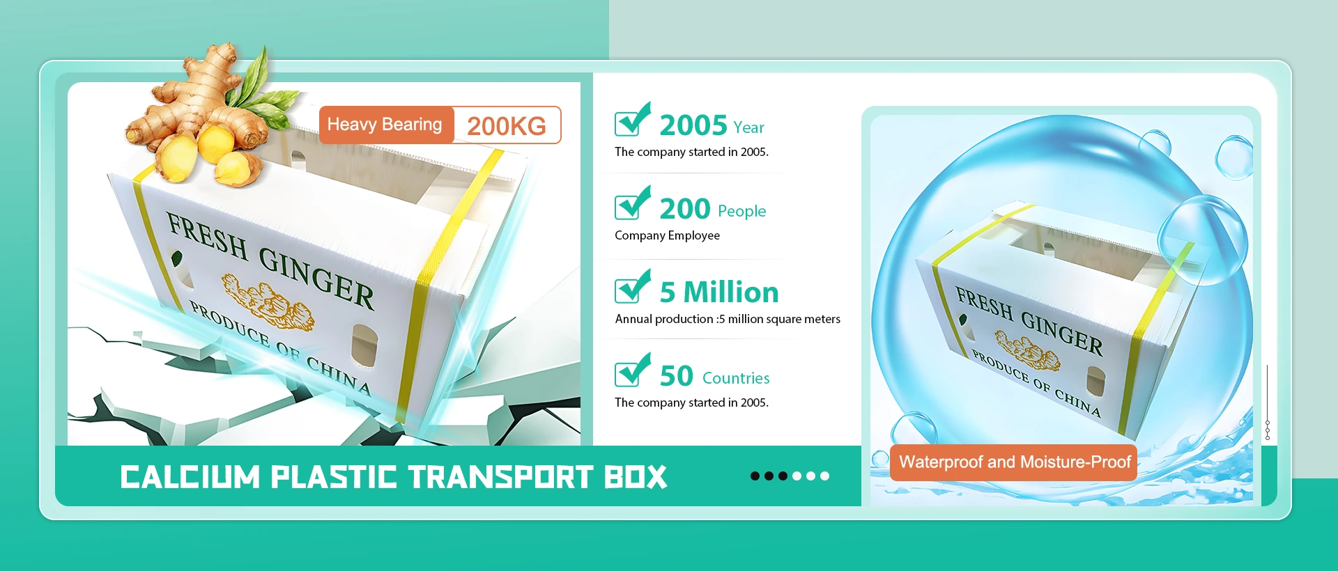 Nhà sản xuất hộp vận chuyển nhựa Trung Quốc