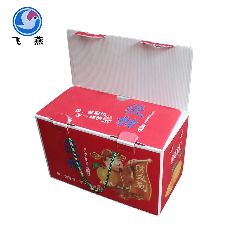 Hộp doanh thu trái cây: Bao bì thân thiện với môi trường giúp thúc đẩy phát triển xanh trong ngành công nghiệp thực phẩm tươi