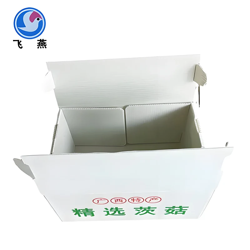 Tại sao chọn hộp bao bì nấm cho một tương lai xanh hơn?
