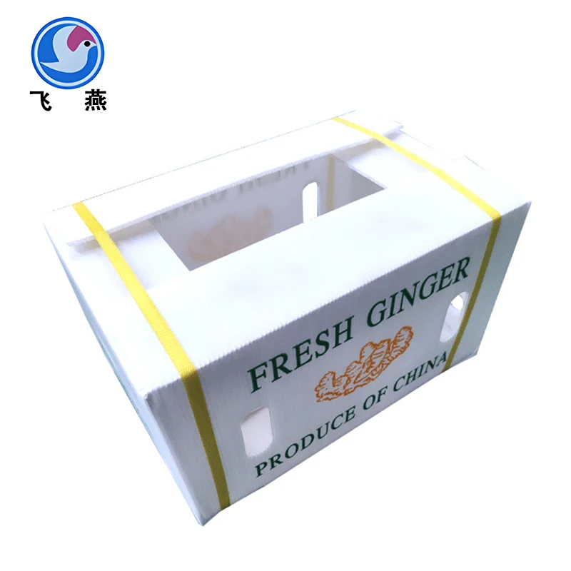 Tại sao ngày càng có nhiều công ty chọn sử dụng hộp bảng hốc nhựa canxi?