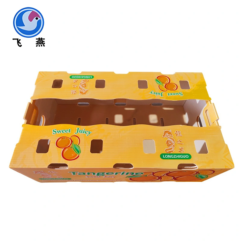 Hộp đóng gói trái cây tùy chỉnh
