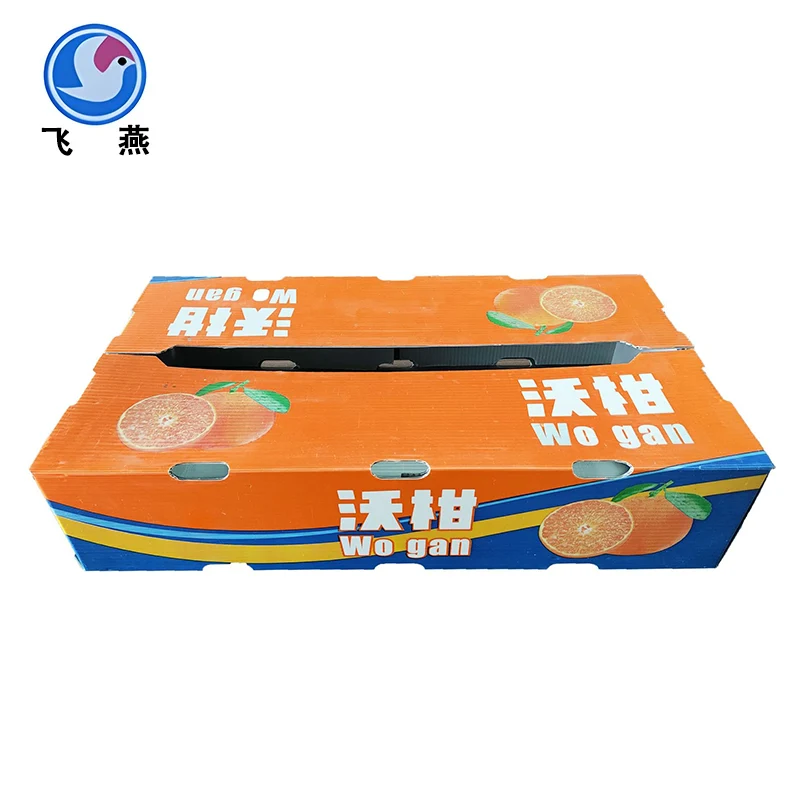 Hộp doanh thu nhựa canxi trái cây