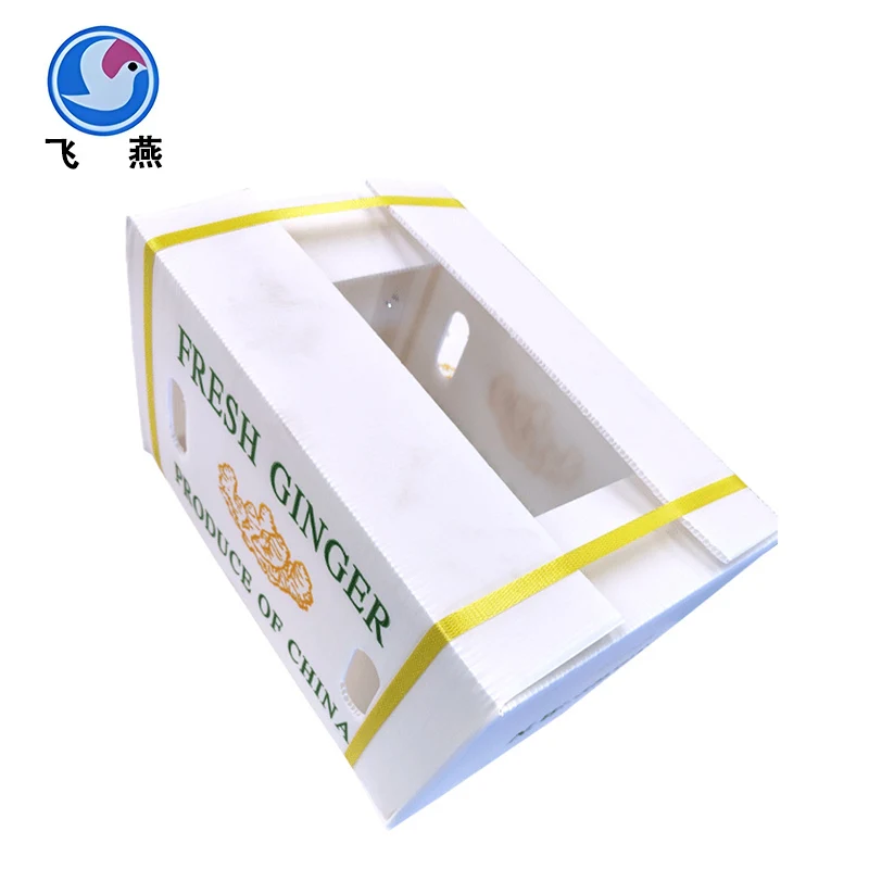 Hộp doanh thu nhựa canxi quả hồng