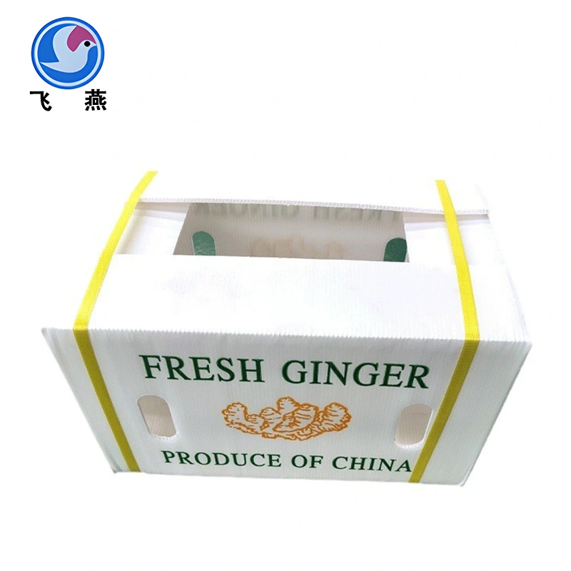 Hộp giữ rau tươi PP